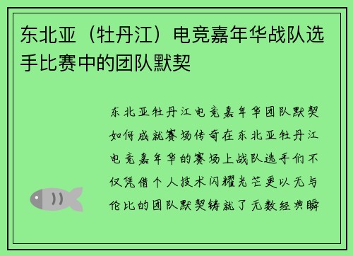 东北亚（牡丹江）电竞嘉年华战队选手比赛中的团队默契
